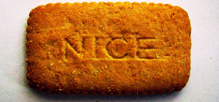 Nice_biscuit_740_345